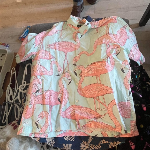 Collared Tee Shirt - Picture 1 of 1